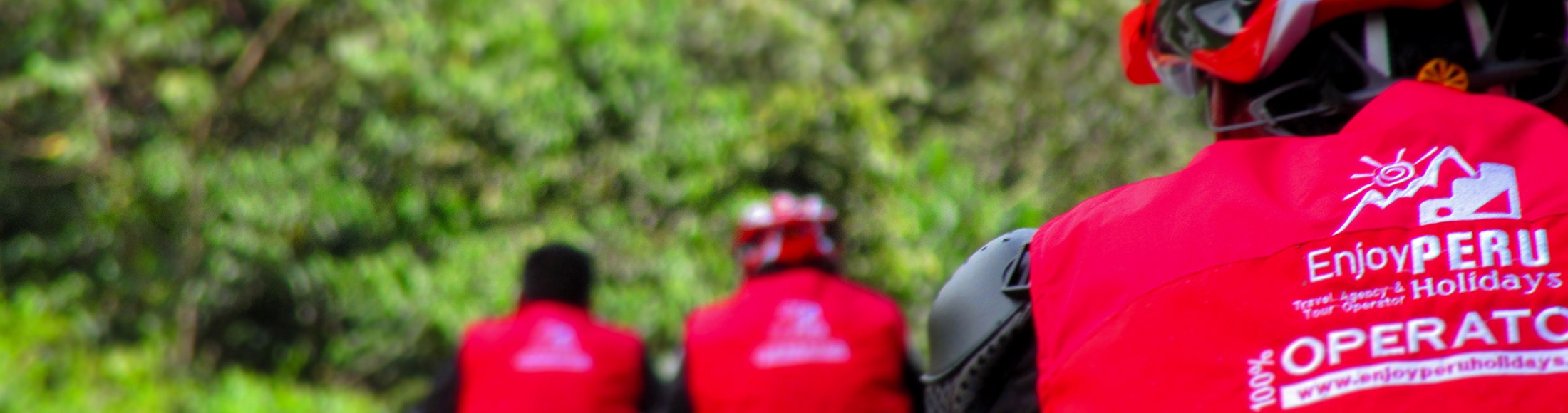 Sobre Nosotros  desde República Dominicana