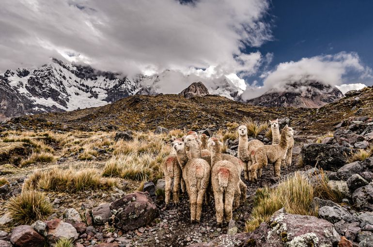 Machu Picchu desde República Dominicana