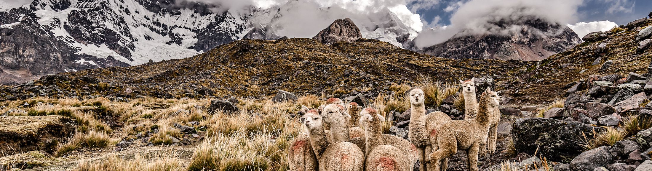 Machu Picchu 8D7N Viajero (Full Aventura Tendencia)  desde República Dominicana
