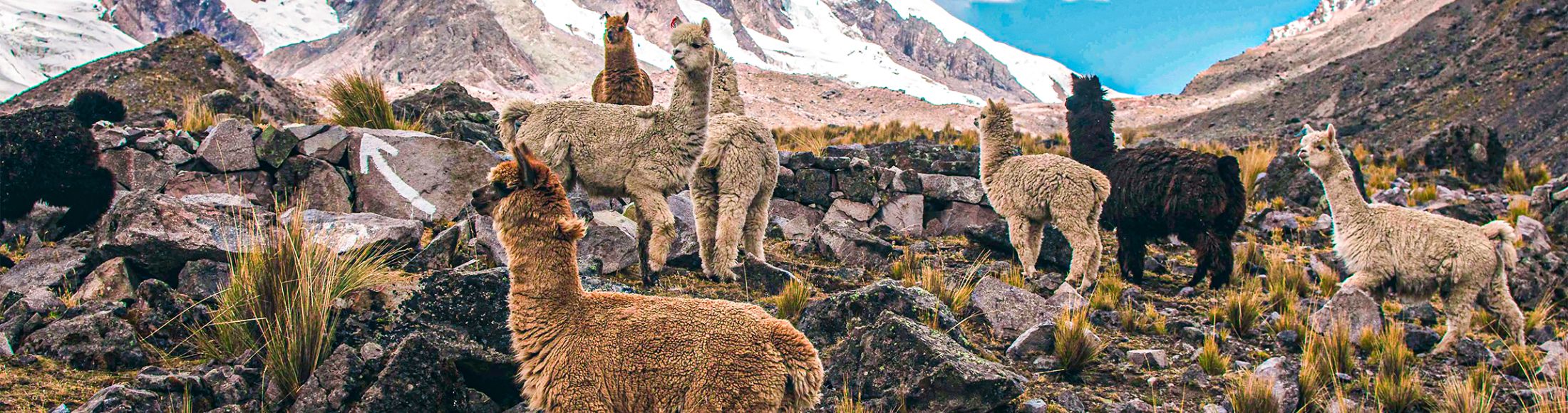 Machu Picchu 4D3N Viajero (Cultural Aventura Tendencia)  desde República Dominicana