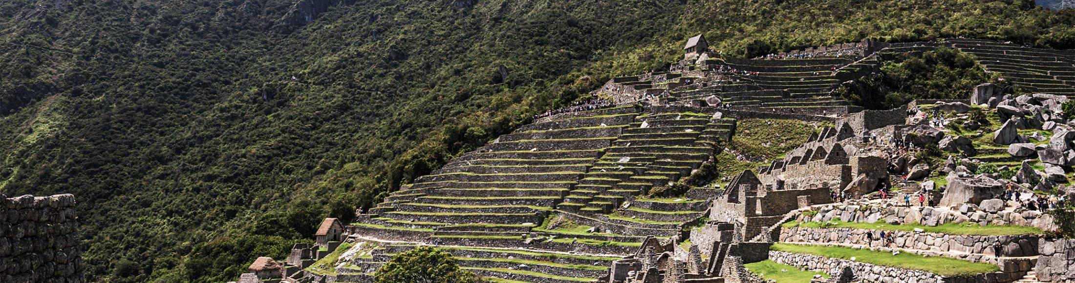 Machu Picchu 8D7N Viajero (Aventura Clásica)  desde República Dominicana