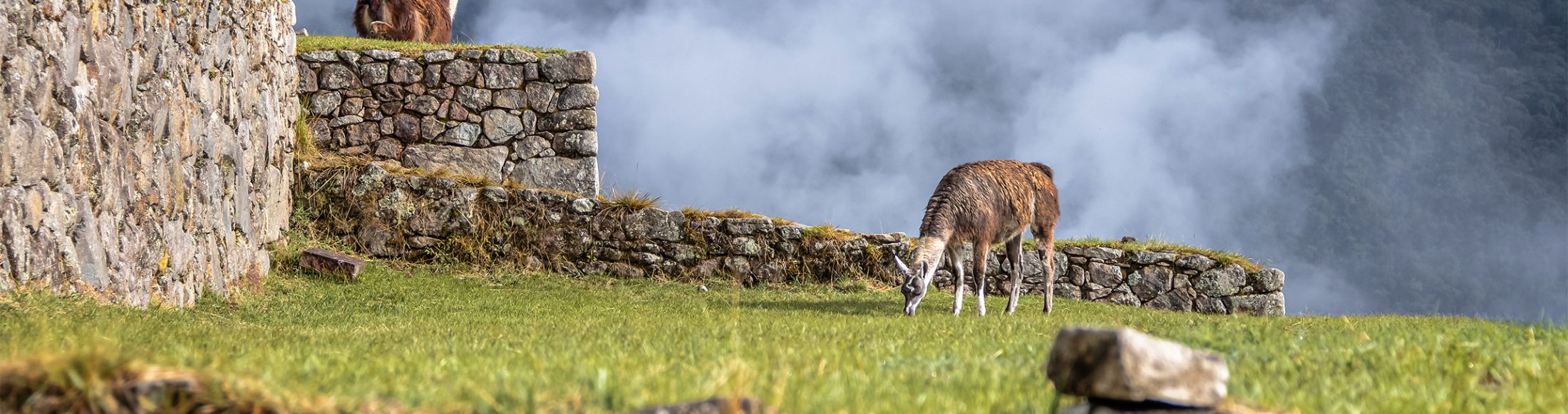 Machu Picchu 4D3N Viajero (Cultural Aventura)  desde República Dominicana