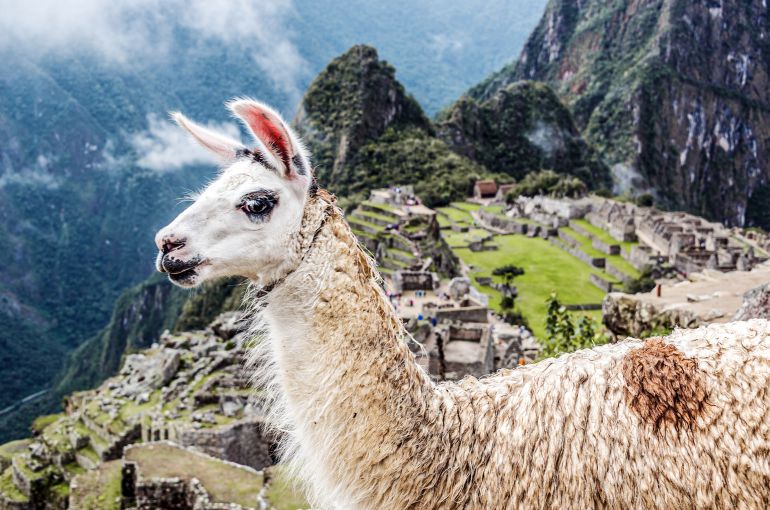 Machu Picchu desde República Dominicana