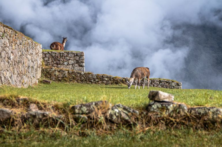 Machu Picchu desde República Dominicana